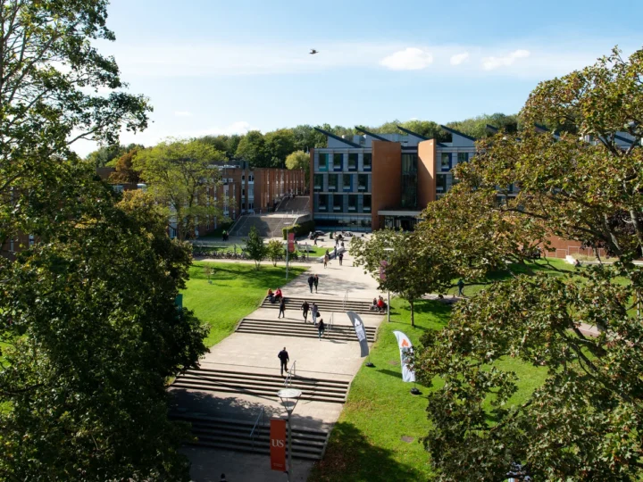 University of Sussex